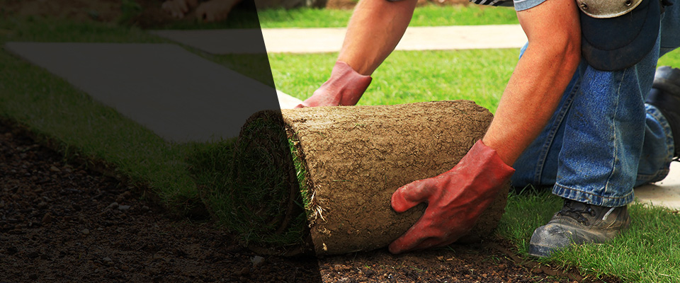 Walsenburg Landscapers